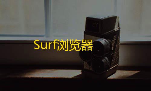 和平精英5级小号网低价Surf浏览器